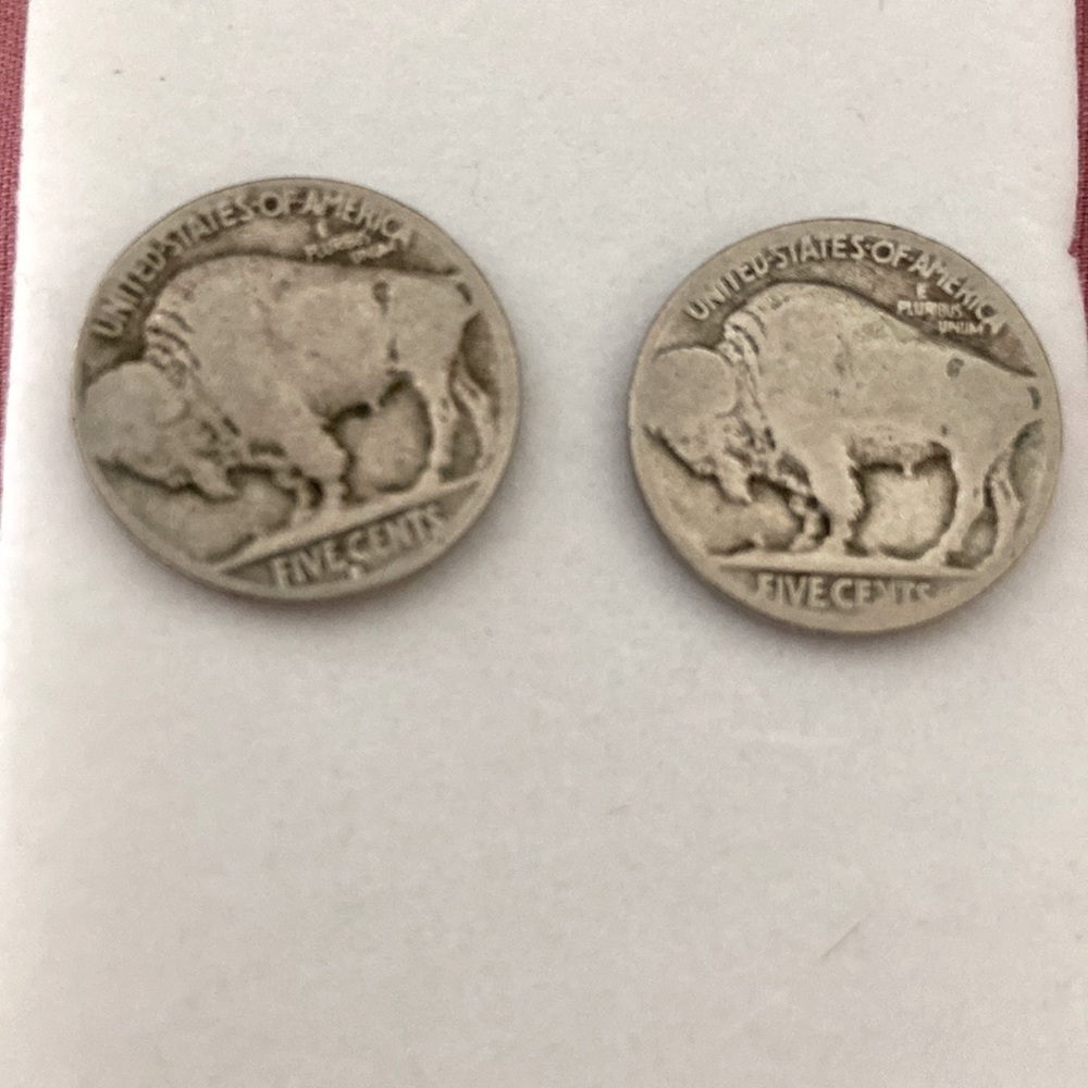 Buffalo w. Indian Head On Back Earrings